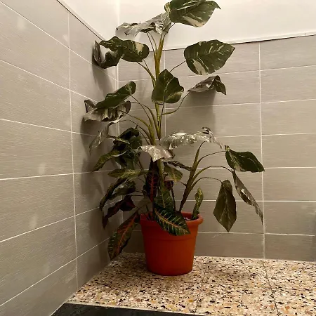 Le Volte Nel Borgo Apartmán *